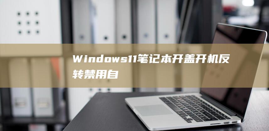 Windows11笔记本开盖开机反转禁用自