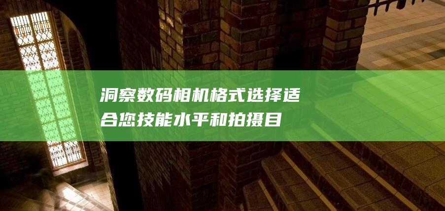 洞察数码相机格式适合您技能水平和拍摄目