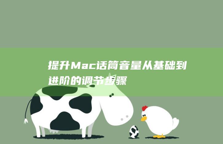 提升 Mac 话筒音量：从基础到进阶的调节步骤 (如何提高mac的性能)