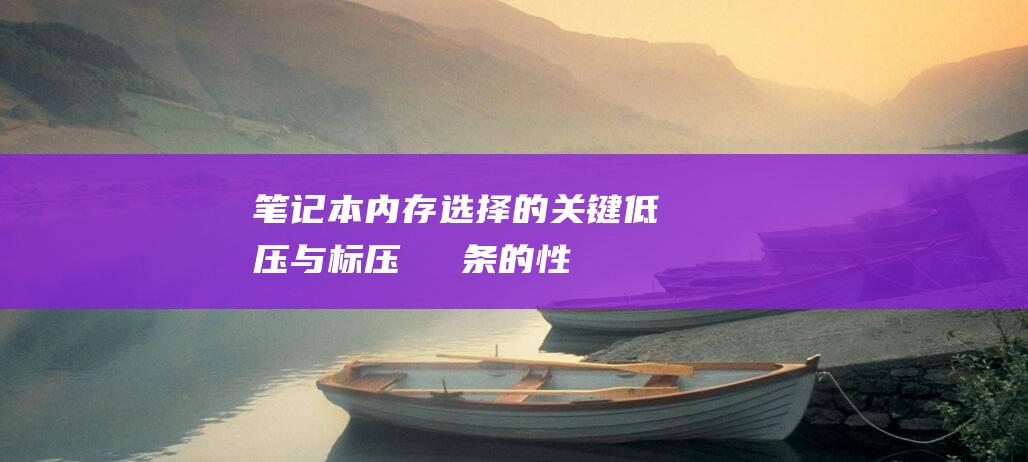 笔记本内存选择的关键：低压与标压メモリ条的性能差异详解 (笔记本内存选16g还是32g)