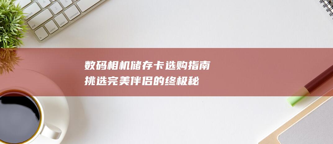 数码相机储存卡选购指南：挑选完美伴侣的终极秘诀 (数码相机储存卡)