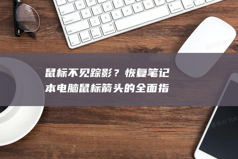 鼠标不见踪影？恢复笔记本电脑鼠标箭头的全面指