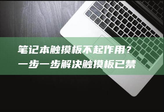 笔记本触摸板不起作用？一步一步解决触摸板已禁用问题 (笔记本触摸板怎么关闭和开启)