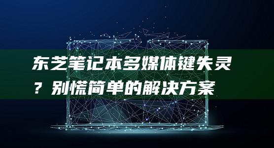 东芝笔记本多媒体键失灵？别慌！简单的解决方案就在这里 (东芝笔记本多少钱)