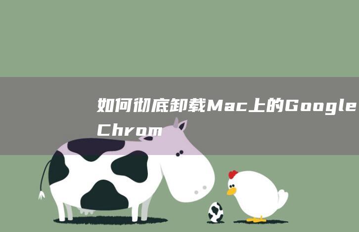 如何彻底卸载 Mac 上的 Google Chrome：逐步指南 (如何彻底卸载电脑软件)