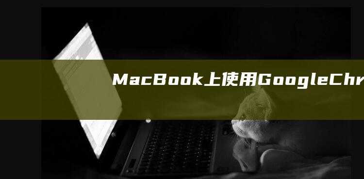 MacBook 上使用 Google Chrome 遇到的网页加载困难：详细故障排除指南 (macbookair)